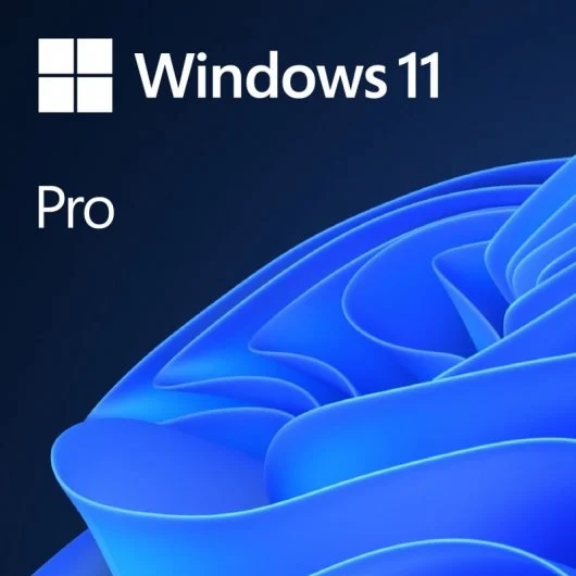 [FQC-10552] Microsoft Windows 11 Profesional 64 Bits OEM